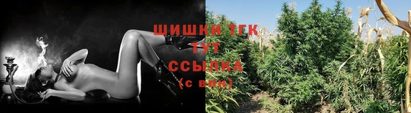 твердый Каменногорск