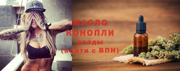 спиды Каменка