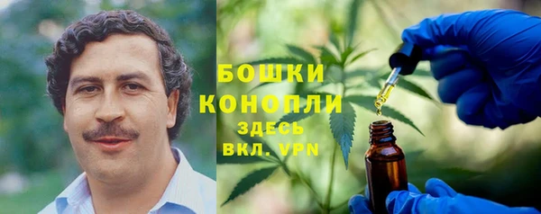 индика Киров