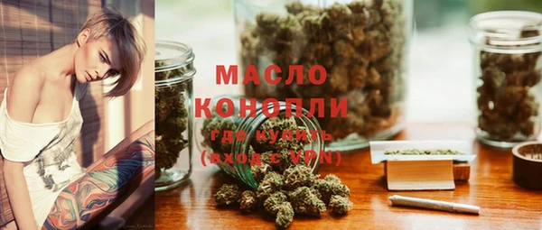 дмт Заводоуковск