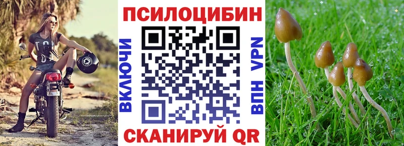 Галлюциногенные грибы GOLDEN TEACHER  Купить закладки  Зуевка 